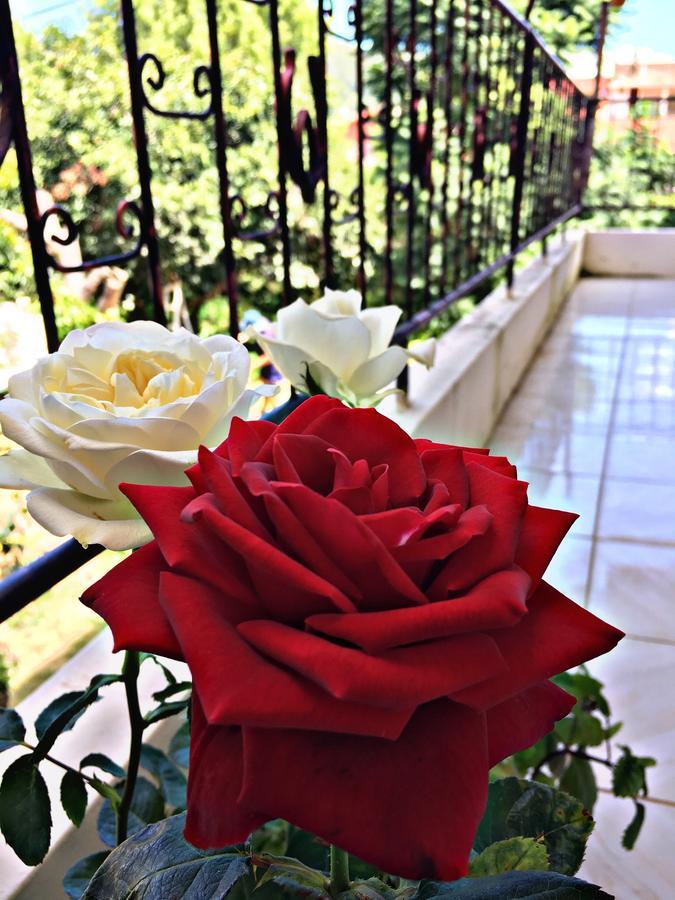 Hotel Samaipata Εξωτερικό φωτογραφία